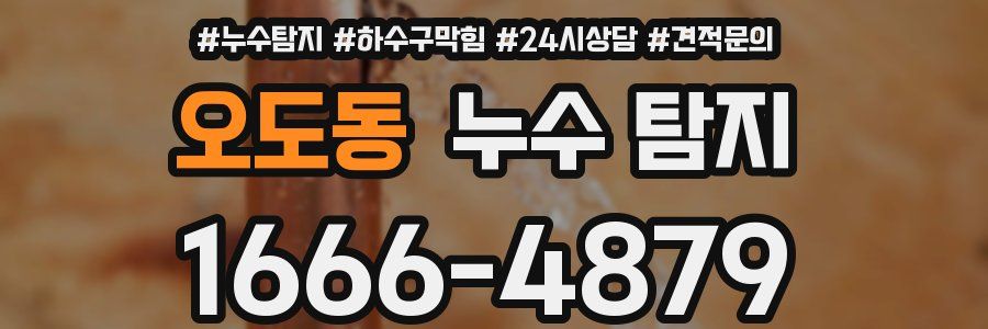 오도동 누수 탐지