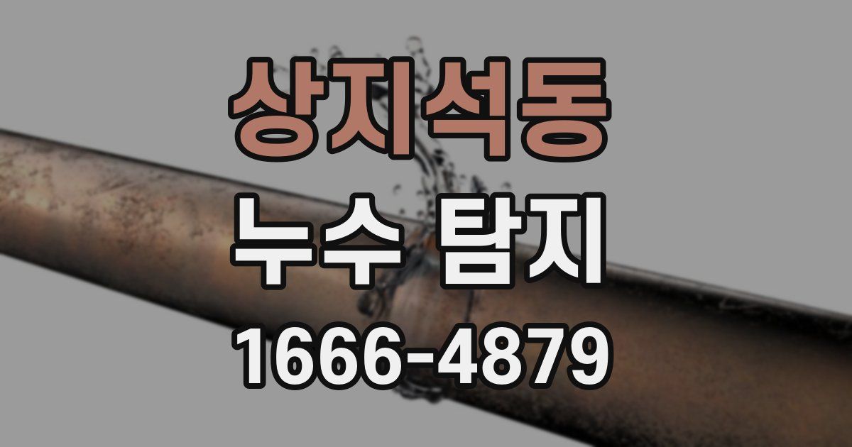 상지석동 누수 탐지