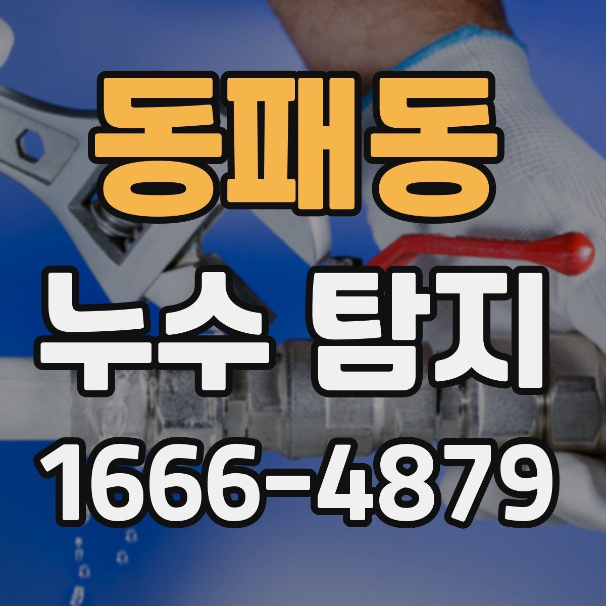 동패동 누수 탐지 전 확인해야 할 점