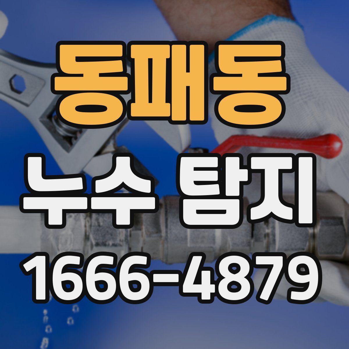 동패동 누수 탐지
