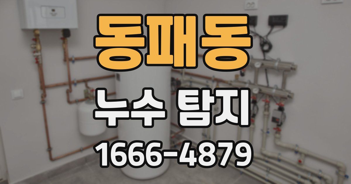 동패동 누수 탐지