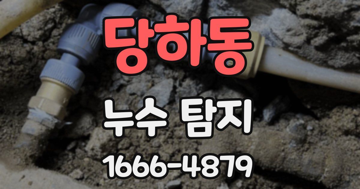 당하동 누수 탐지