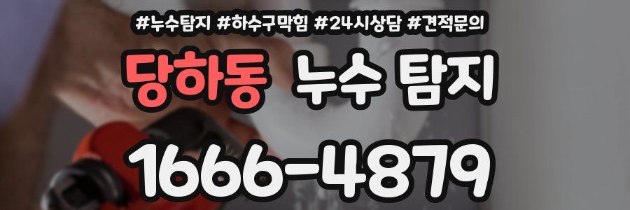 당하동 누수 탐지