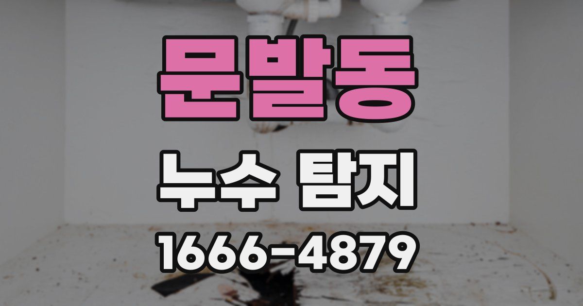 문발동 누수 탐지