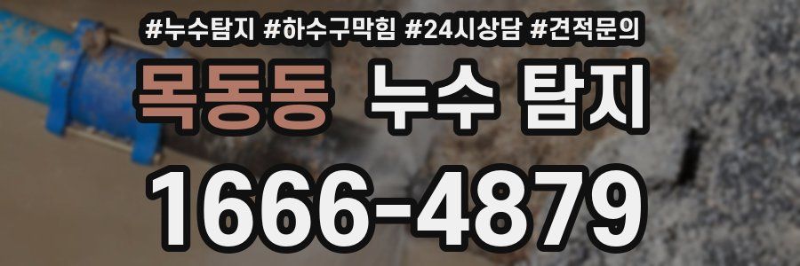 목동동 누수 탐지