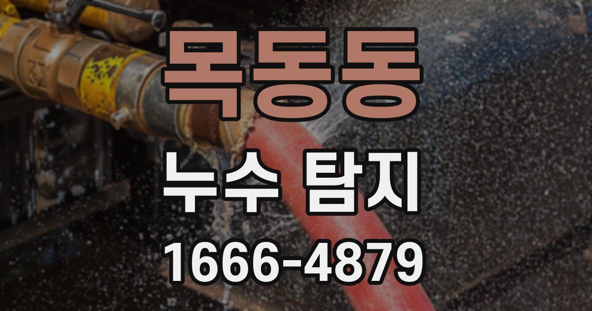 목동동 누수 탐지