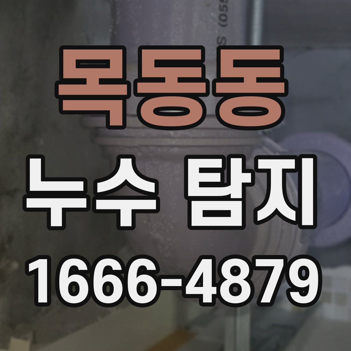 목동동 누수 탐지