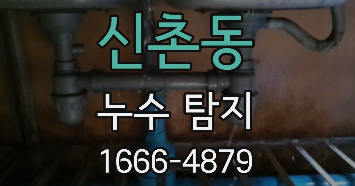 신촌동 누수 탐지