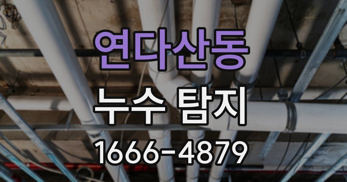 연다산동 누수 탐지