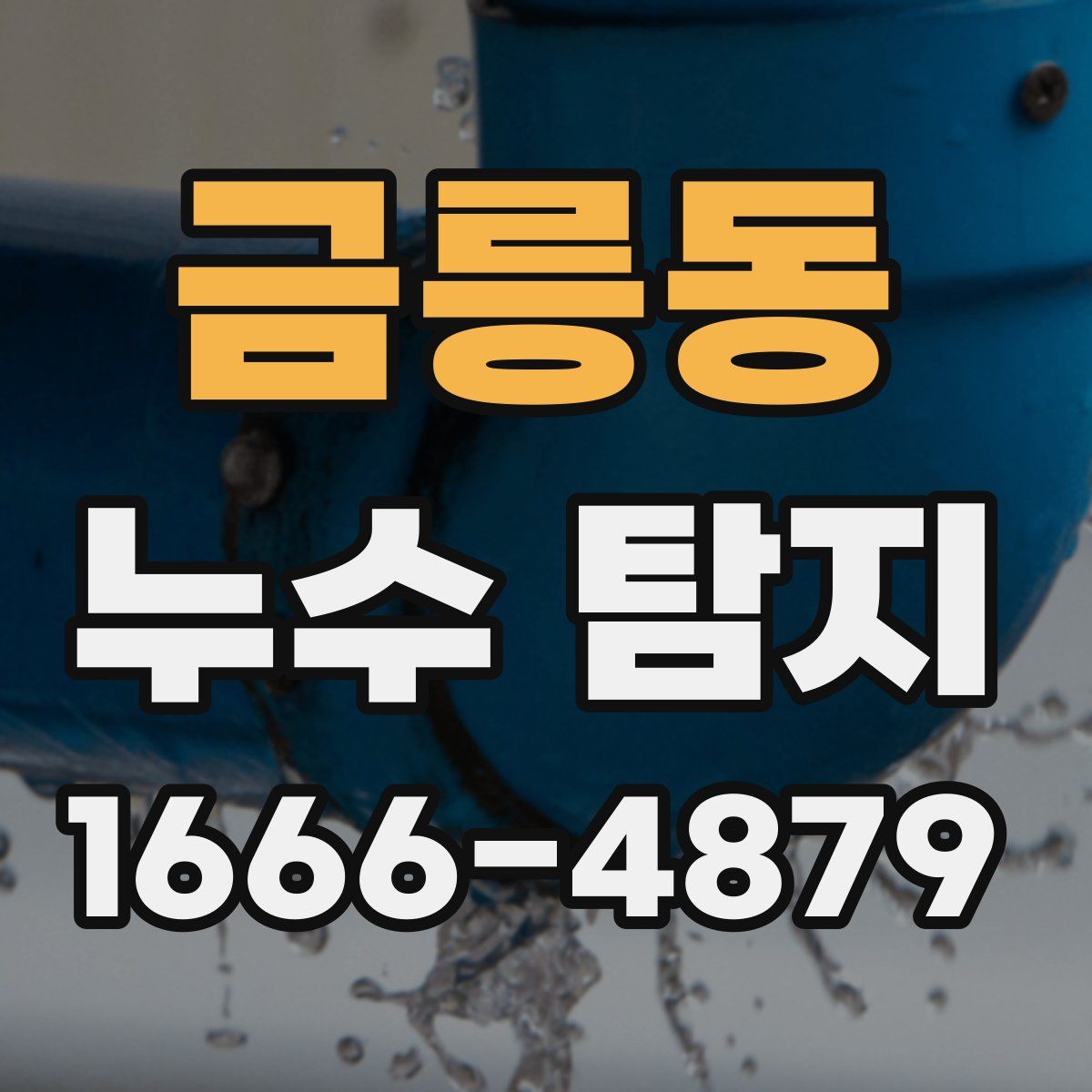 금릉동 누수 탐지