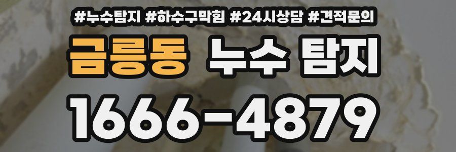 금릉동 누수 탐지