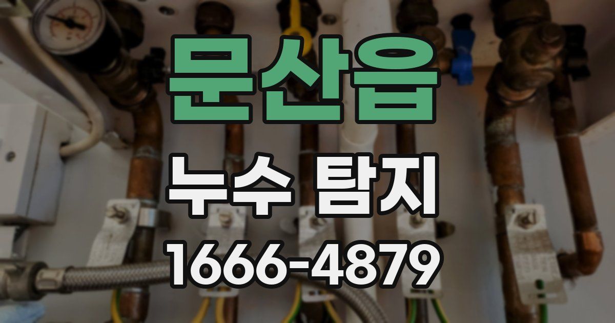 문산읍 누수 탐지