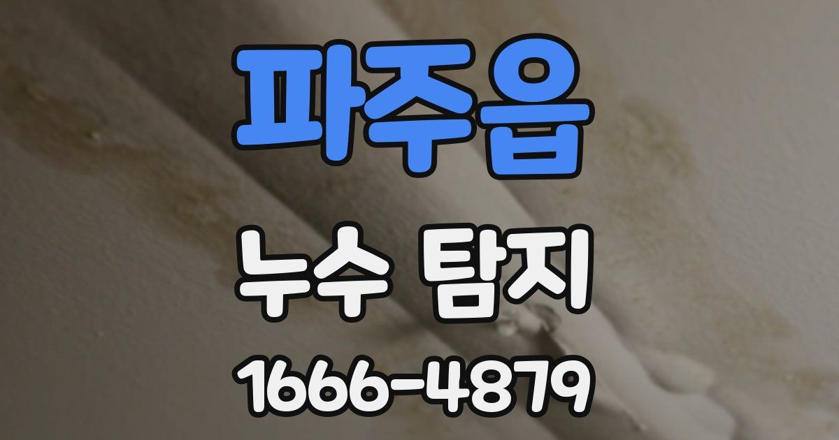 파주읍 누수 탐지