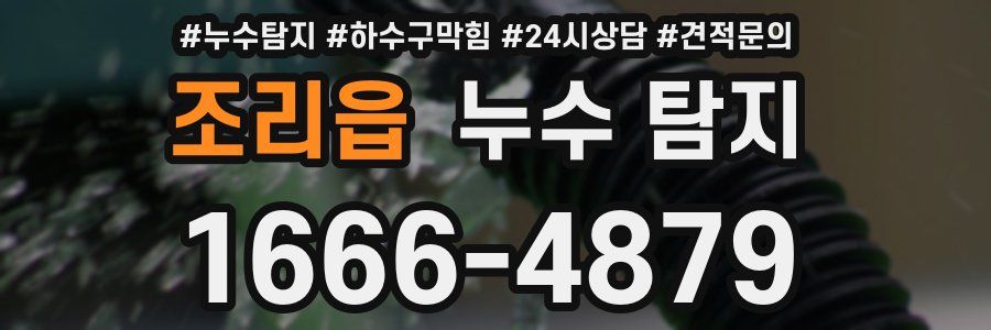 조리읍 누수 탐지