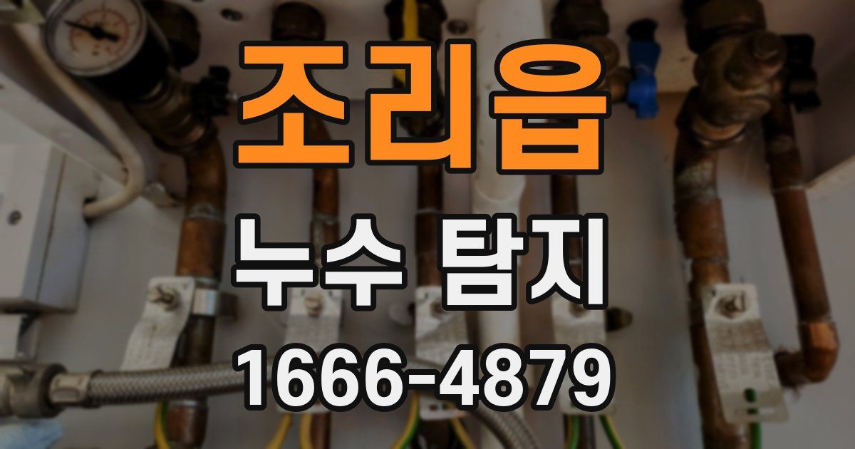 조리읍 누수 탐지
