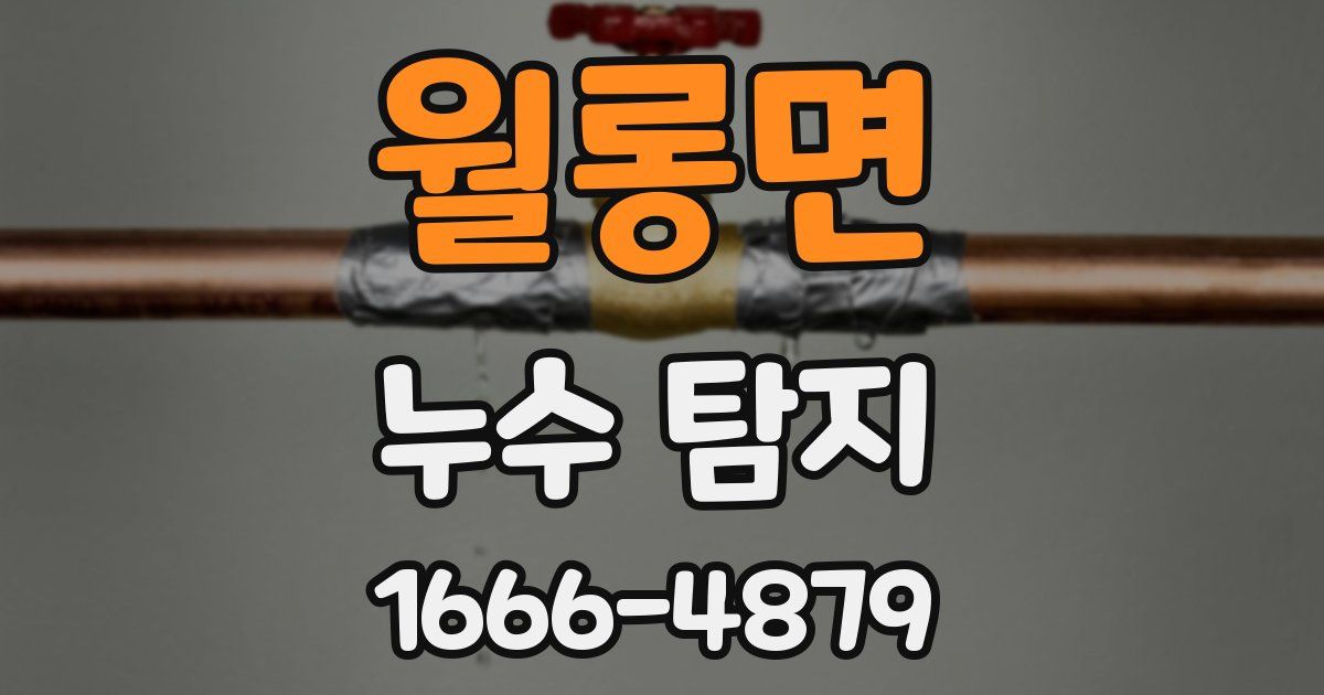 월롱면 누수 탐지