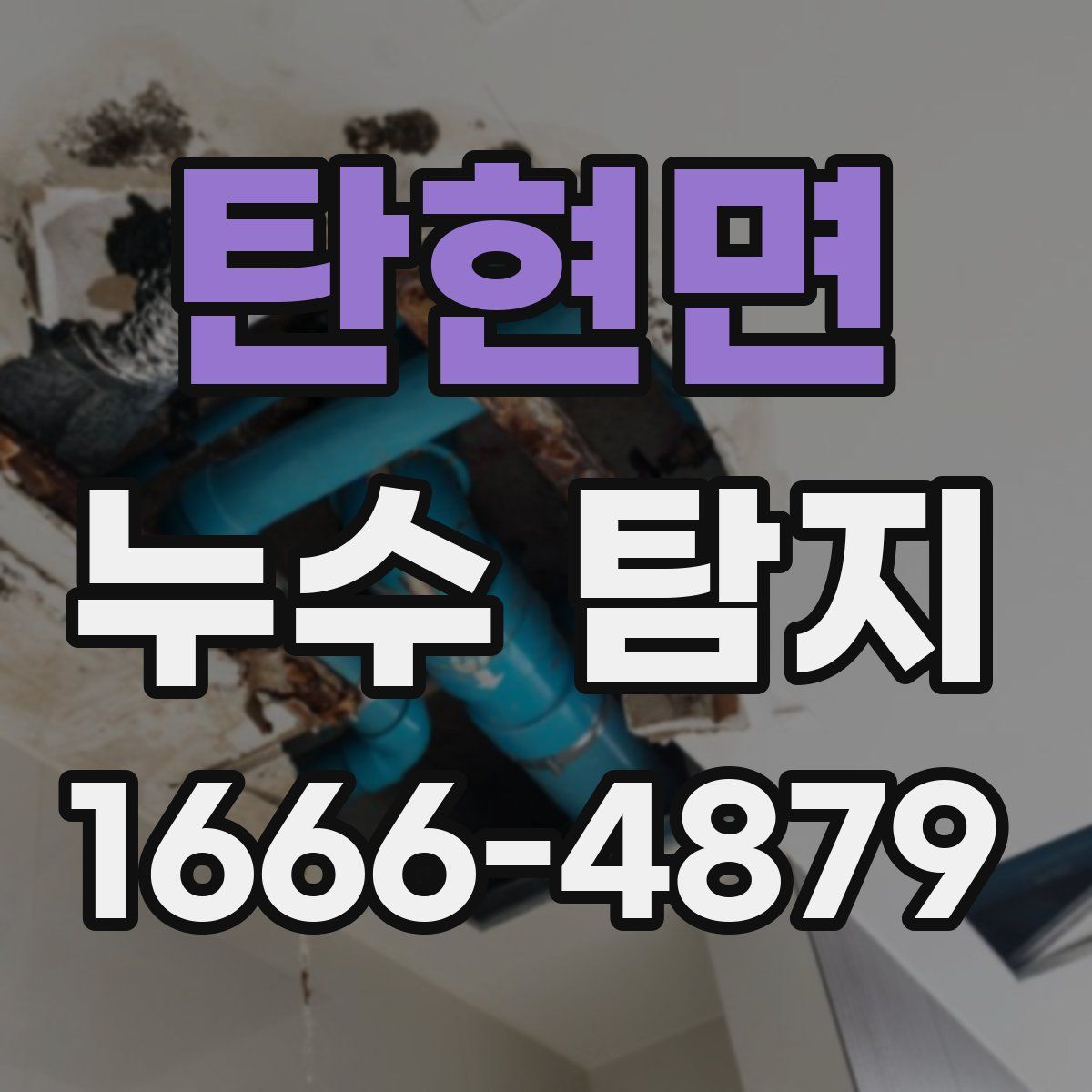 탄현면 누수 탐지