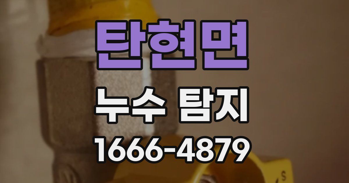 탄현면 누수 탐지