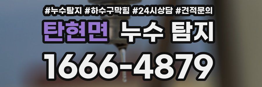 탄현면 누수 탐지