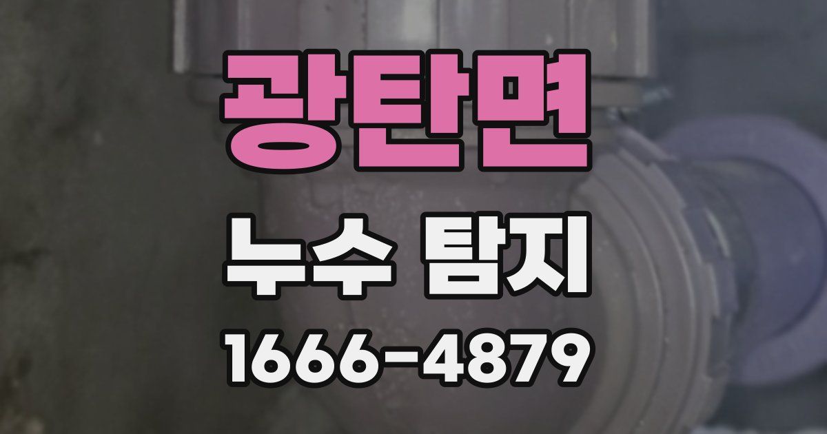 광탄면 누수 탐지