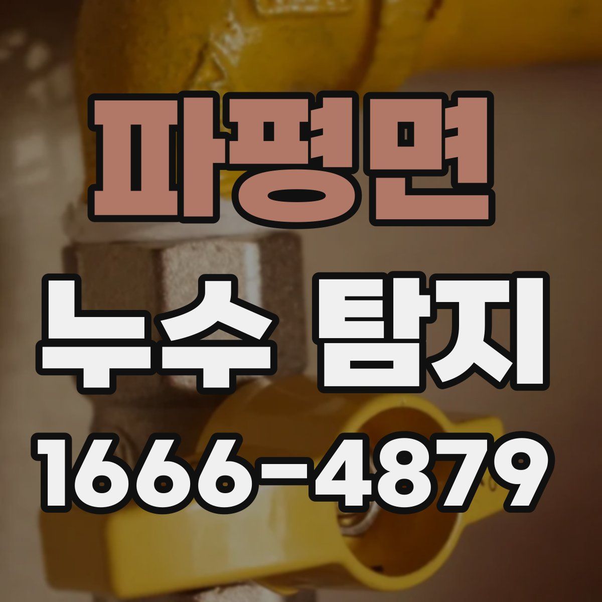 파평면 누수 탐지