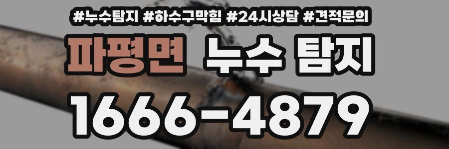 파평면 누수 탐지