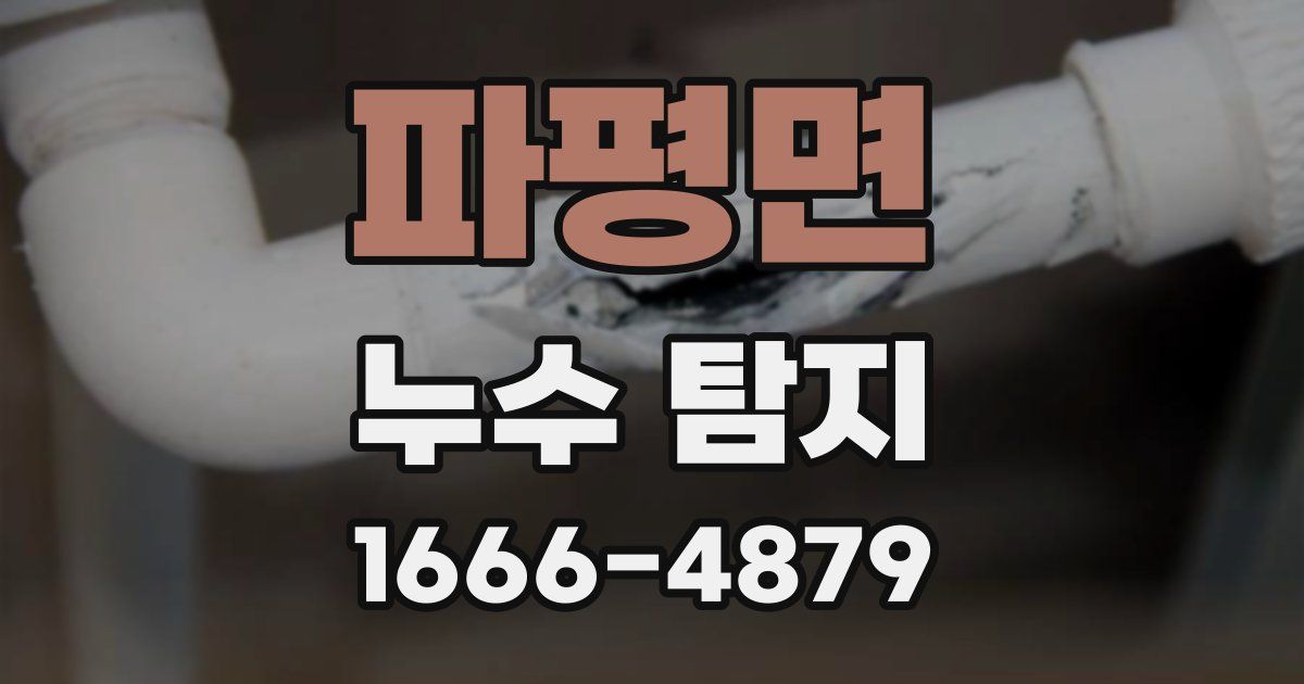 파평면 누수 탐지