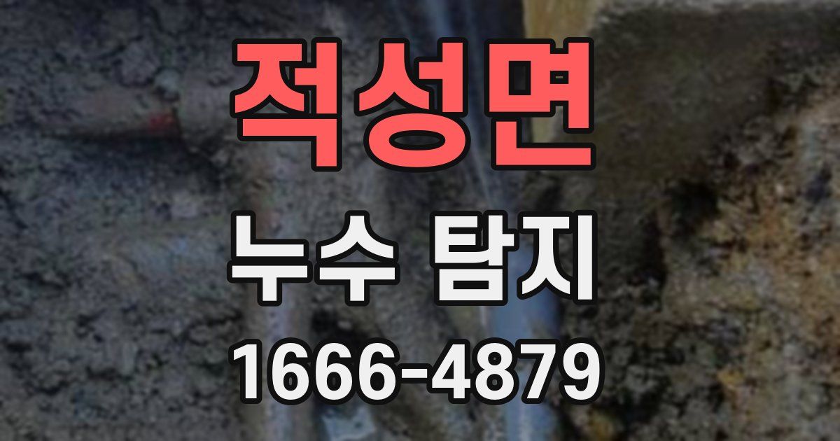 적성면 누수 탐지