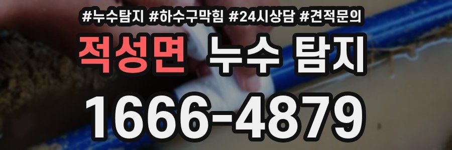 적성면 누수 탐지