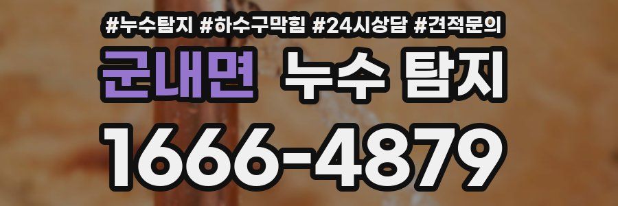 군내면 누수 탐지