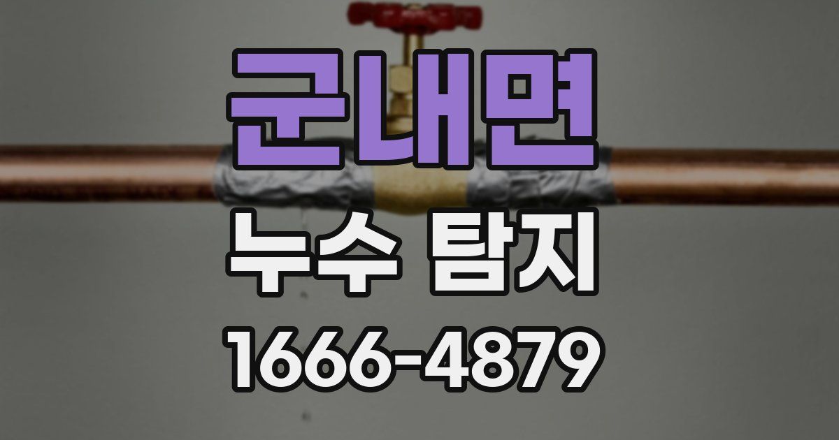 군내면 누수 탐지