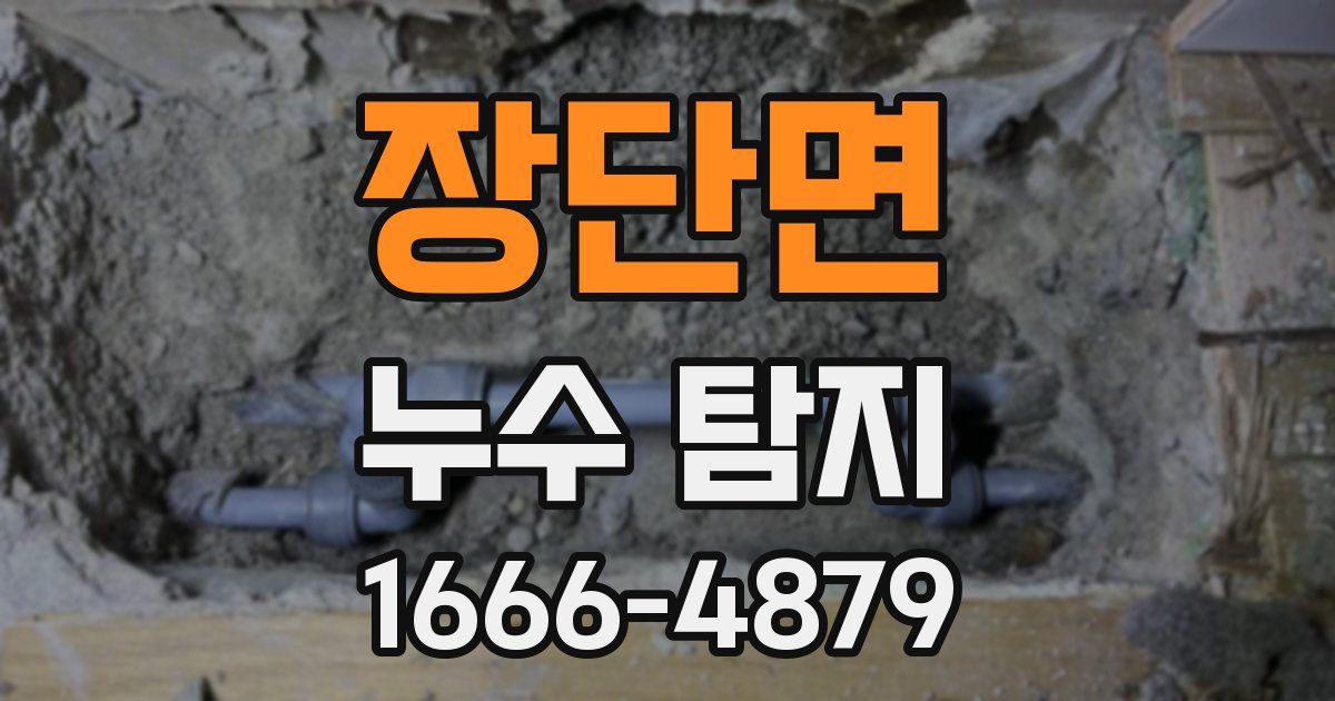 장단면 누수 탐지