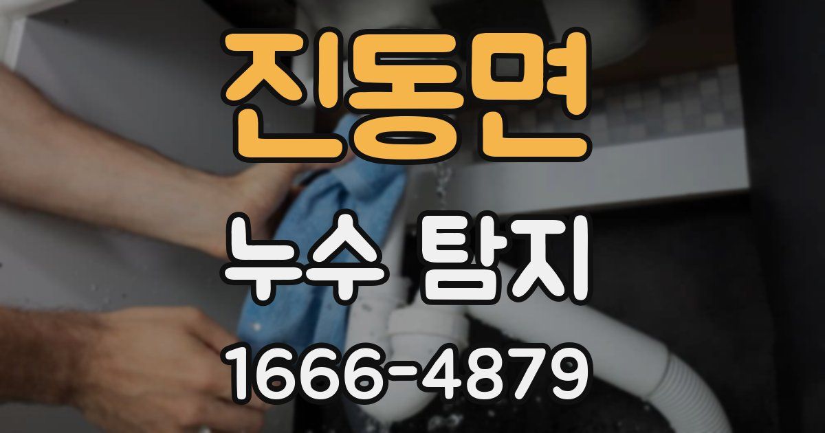 진동면 누수 탐지