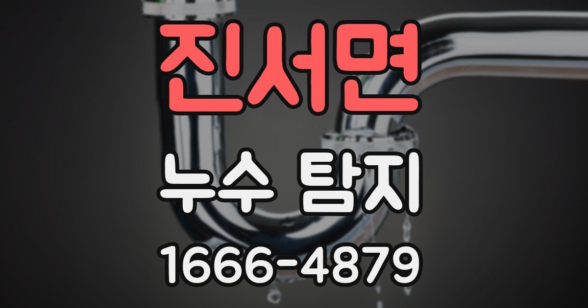 진서면 누수 탐지