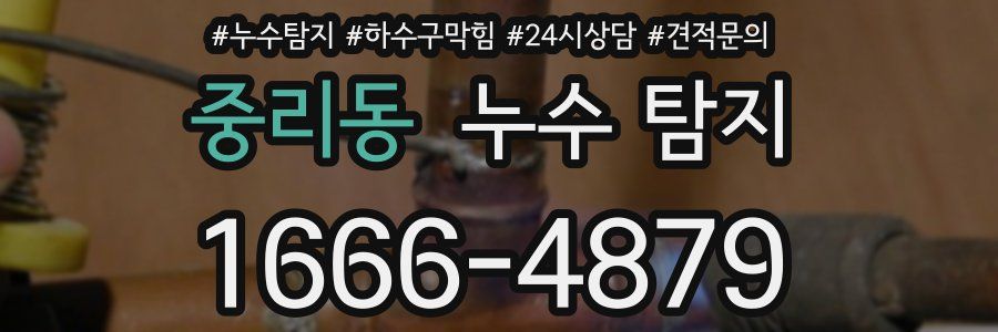 중리동 누수 탐지