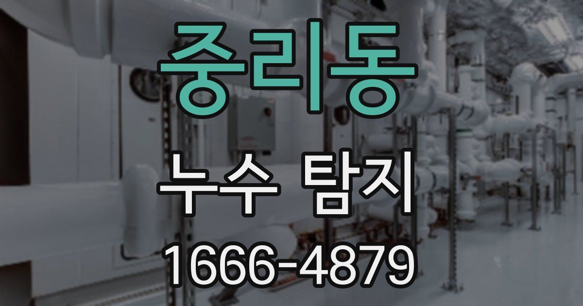 중리동 누수 탐지
