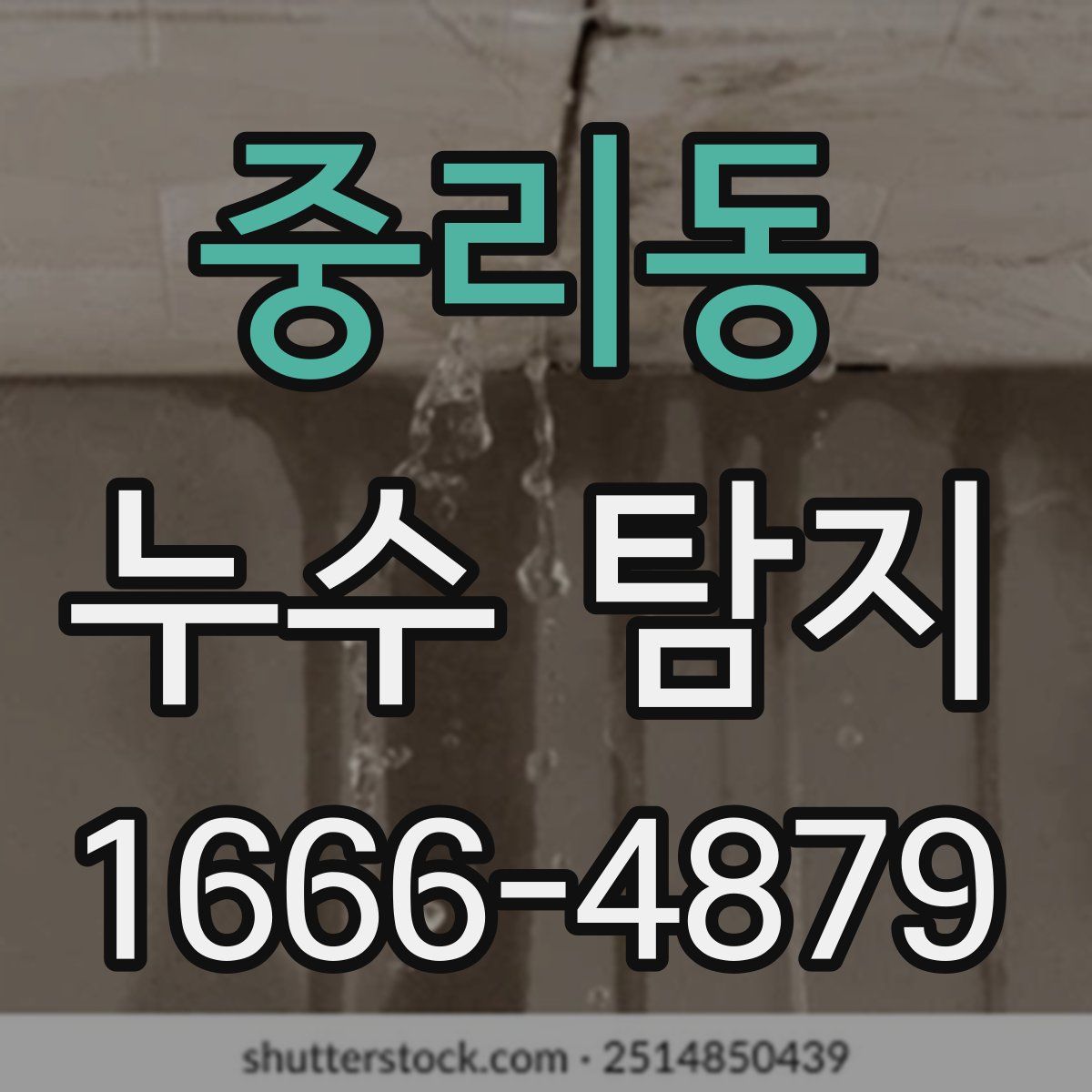 중리동 누수 탐지