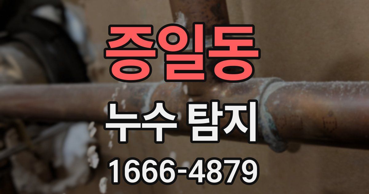 증일동 누수 탐지