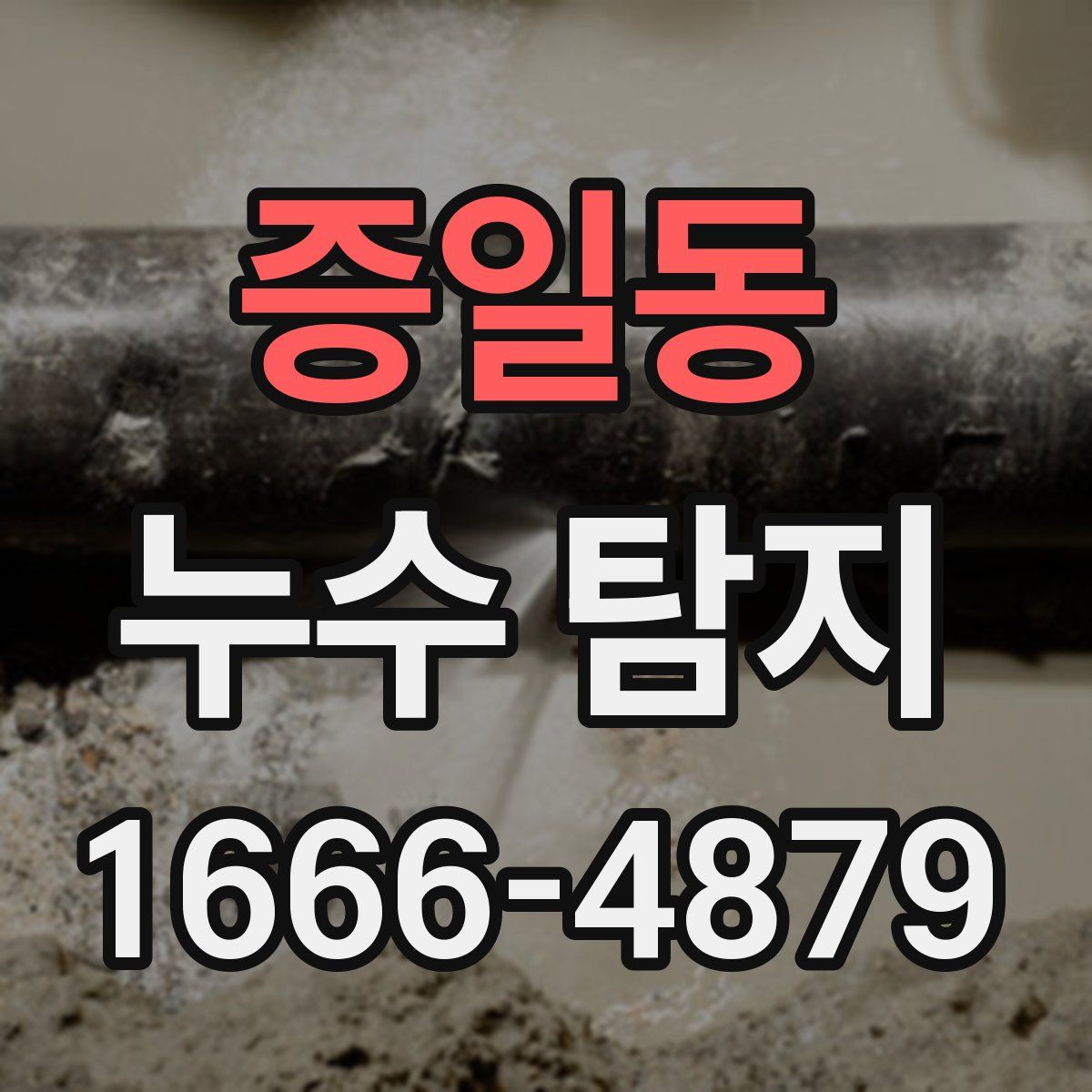 증일동 누수 탐지