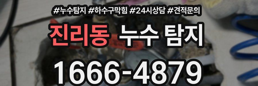 진리동 누수 탐지