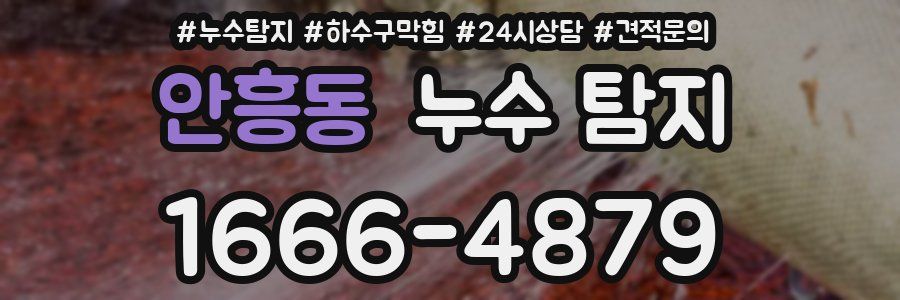안흥동 누수 탐지