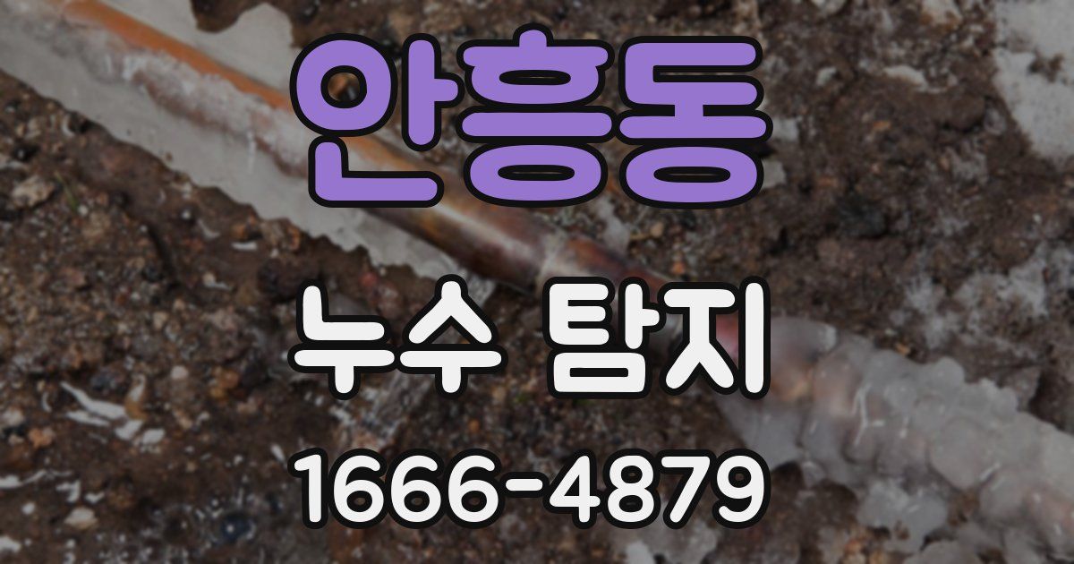 안흥동 누수 탐지