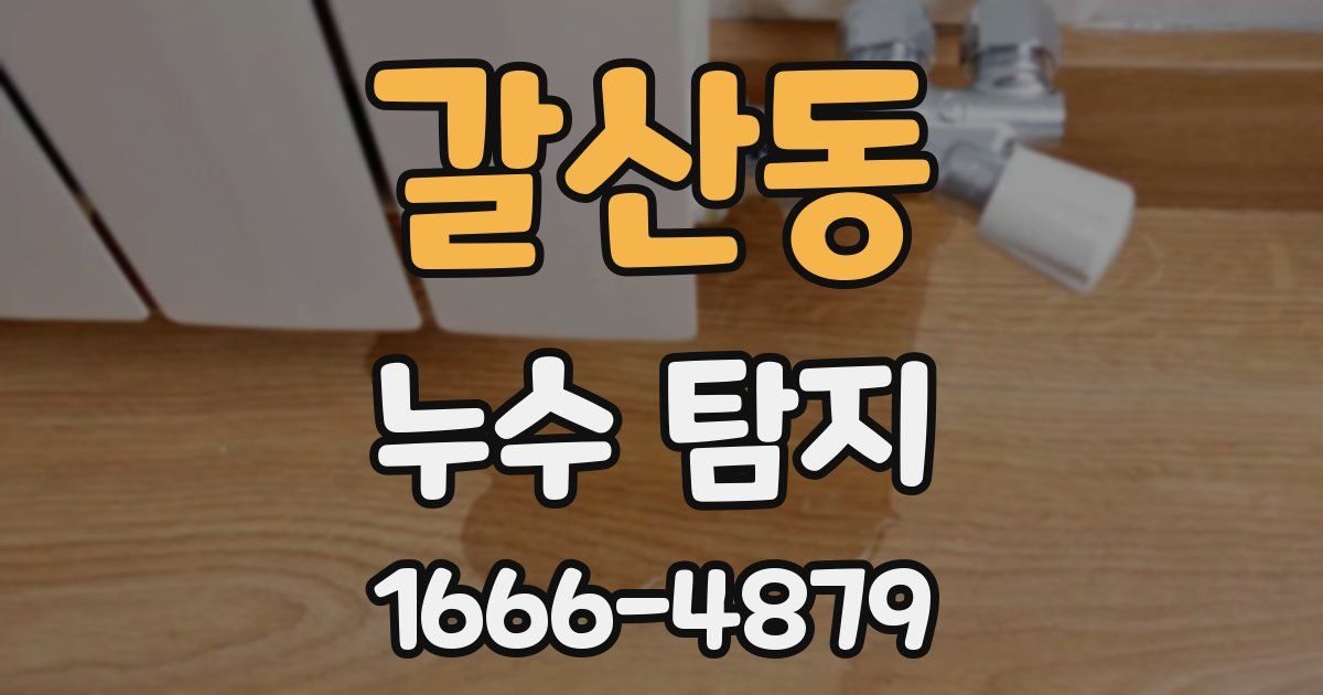 갈산동 누수 탐지