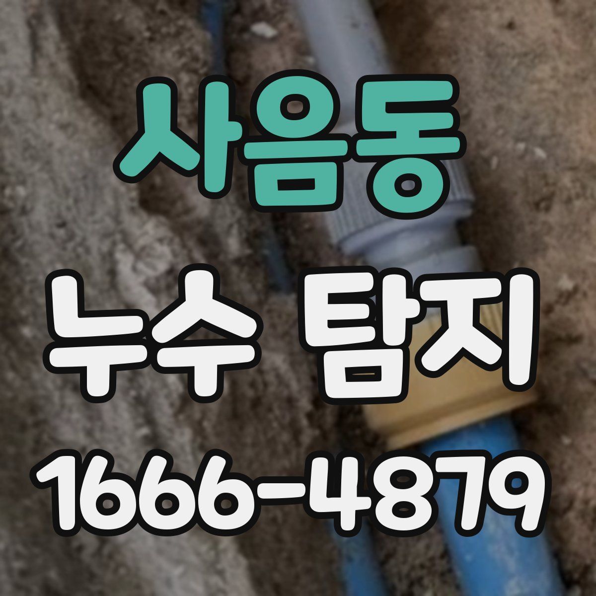 사음동 누수 탐지