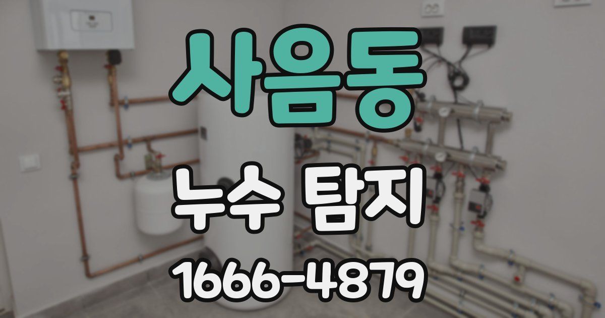 사음동 누수 탐지