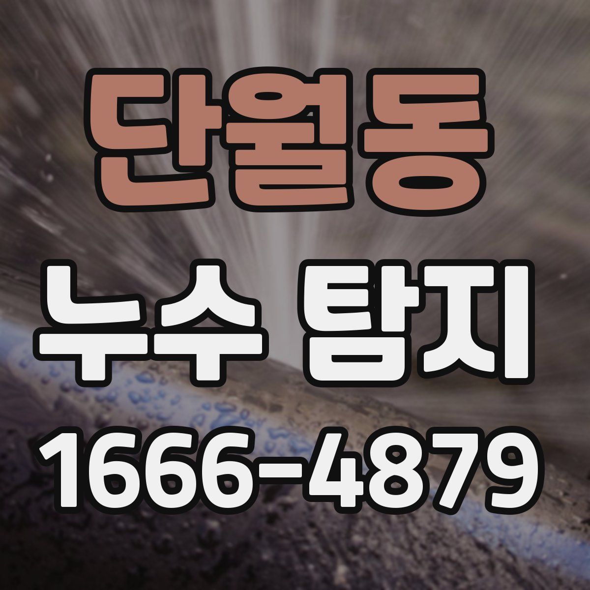 단월동 누수 탐지