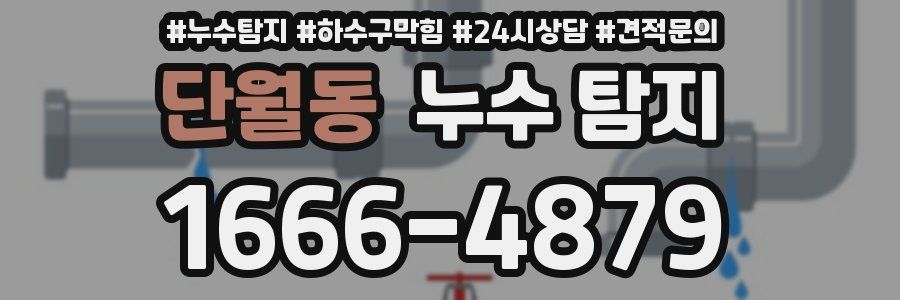 단월동 누수 탐지