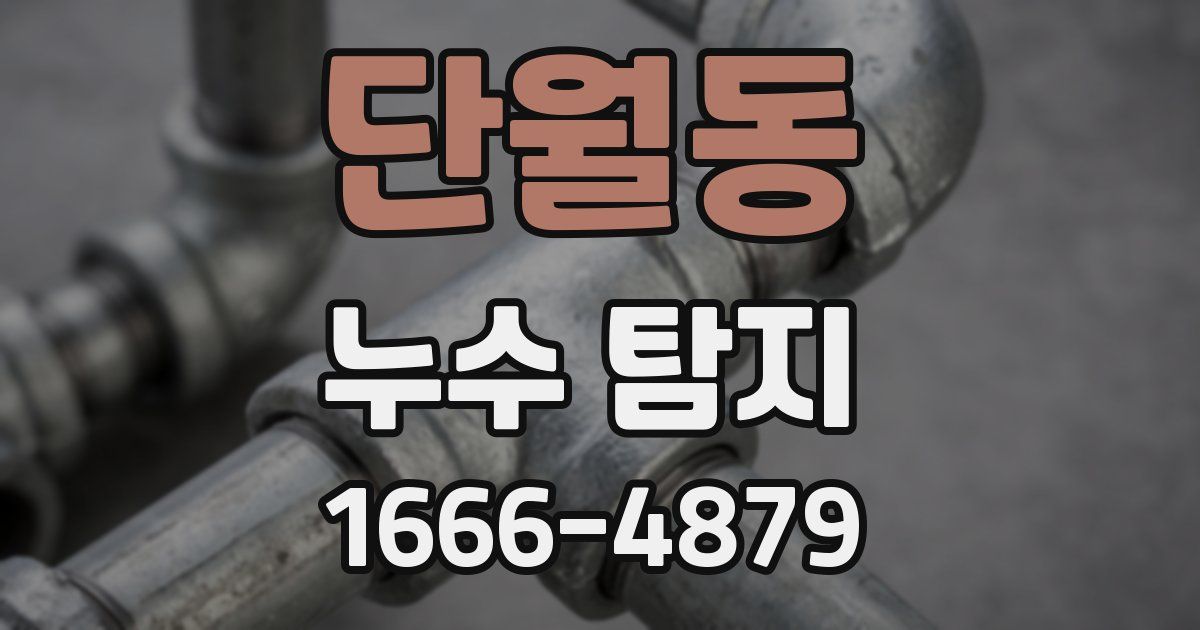 단월동 누수 탐지