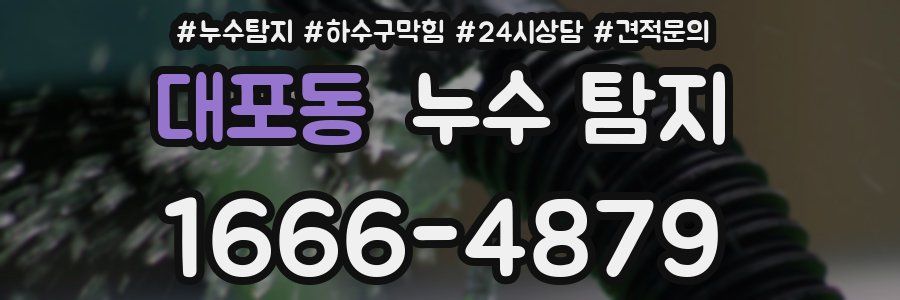 대포동 누수 탐지