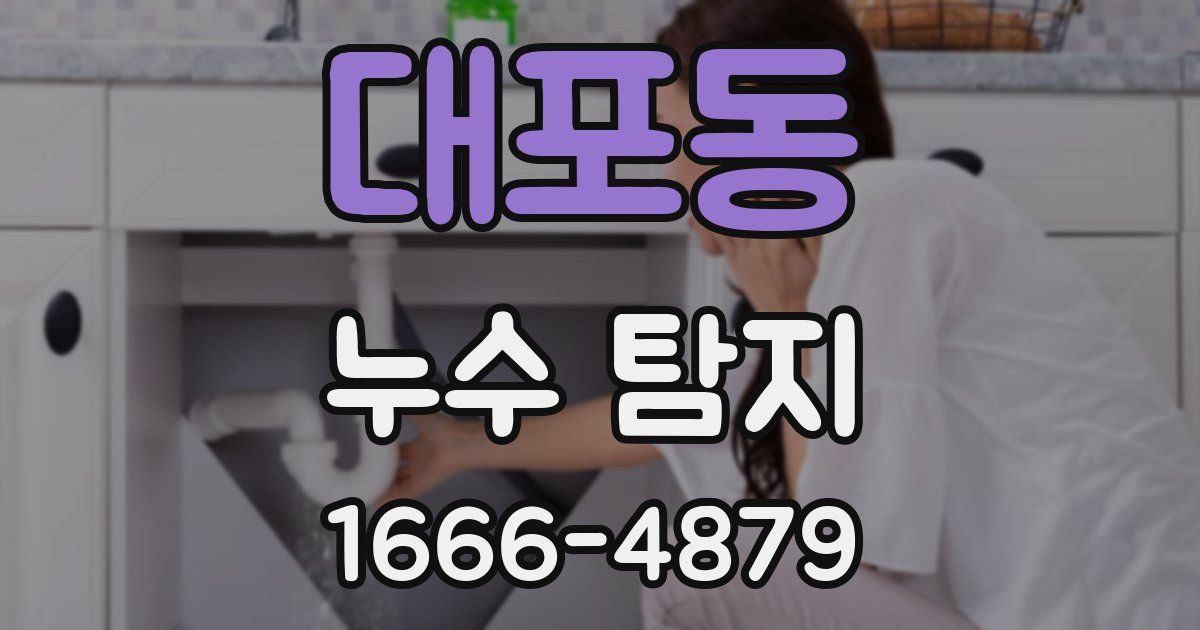대포동 누수 탐지
